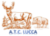 ATC Lucca
